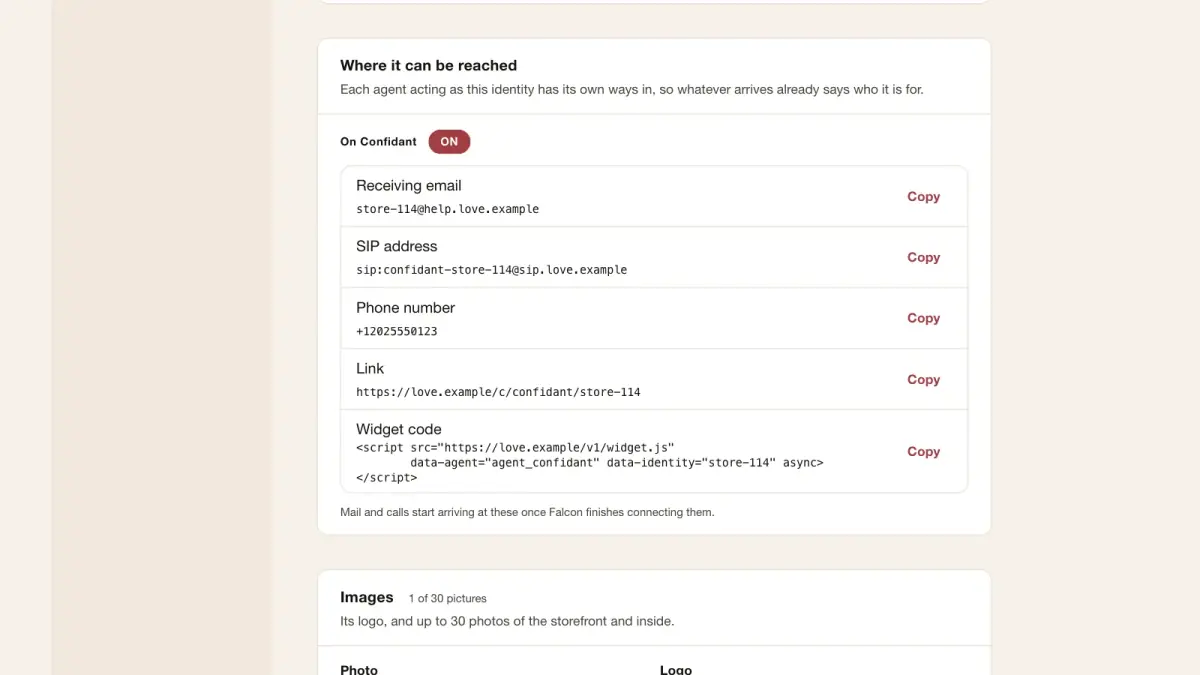 An identity's contact details: its own receiving email, SIP address, phone number, link and website widget code.